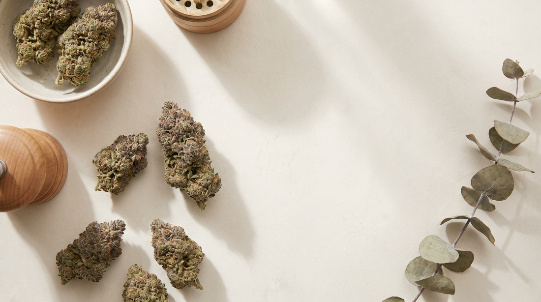 what-is-thca-flower