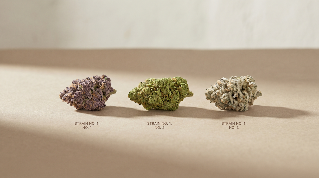 indica-sativa-hybrid