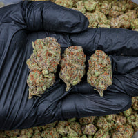 Blue Skittles