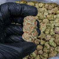 Blue Skittles