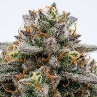 Alien OG