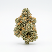 Gelato