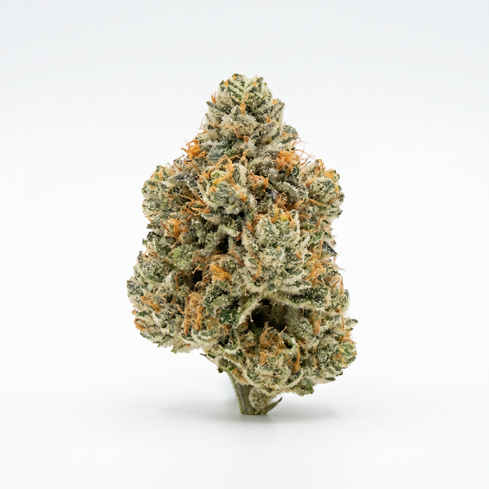 Gelato