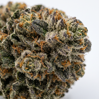 Gelato