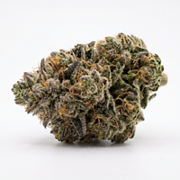 Mule Fuel