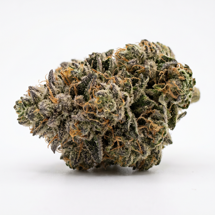 Mule Fuel