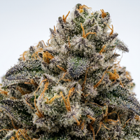 Platinum Puff
