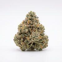 Pave