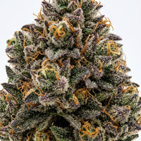 Grape Gasoline
